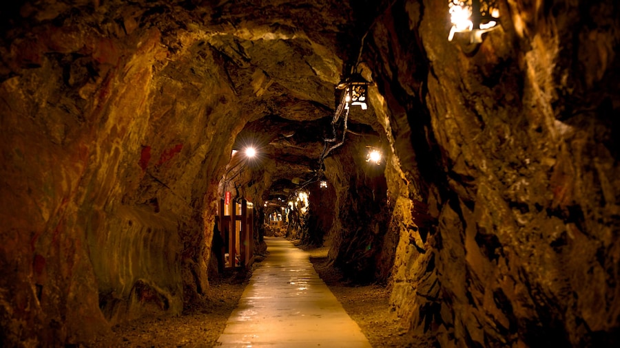 Toi Gold Mine