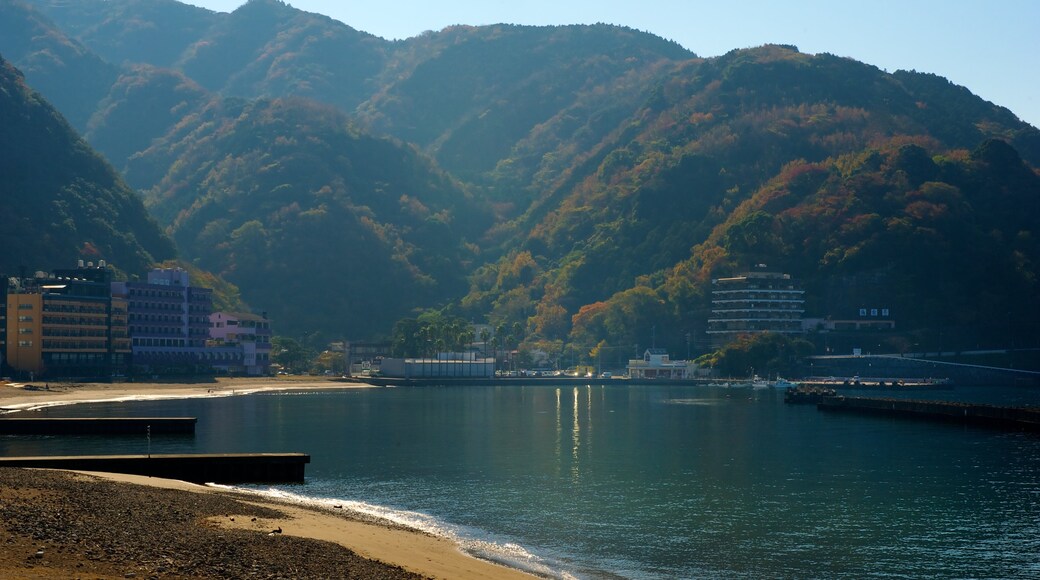 Toi Beach which includes general coastal views and landscape views