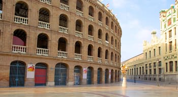 Centrala Valencia som visar en stad, historisk arkitektur och ett slott