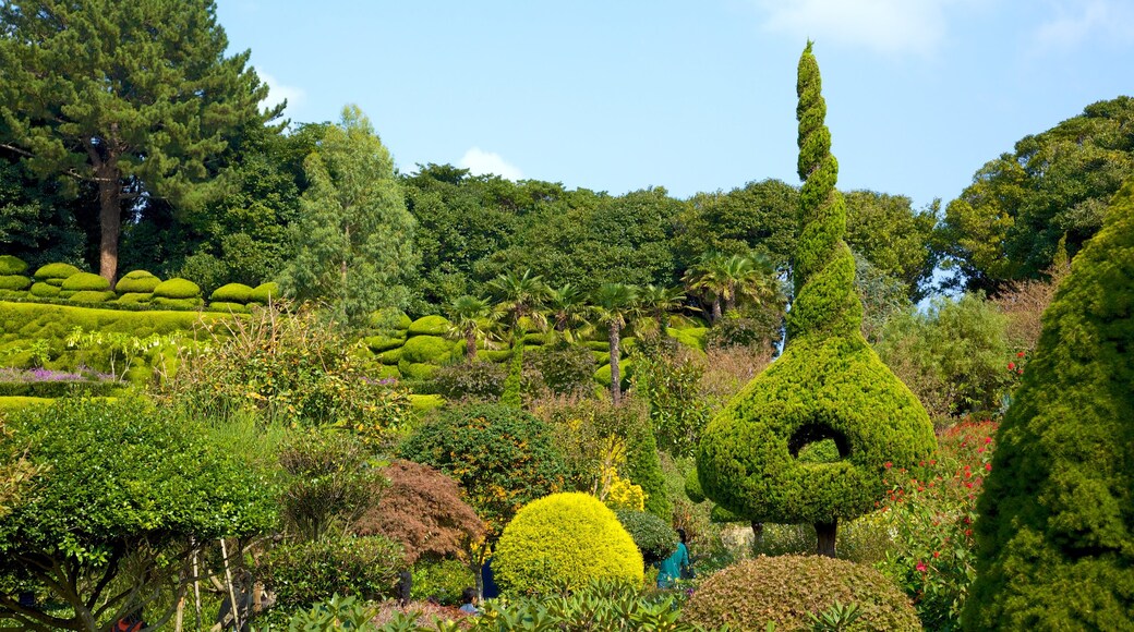 Oedo Paradise Island which includes landscape views and a garden