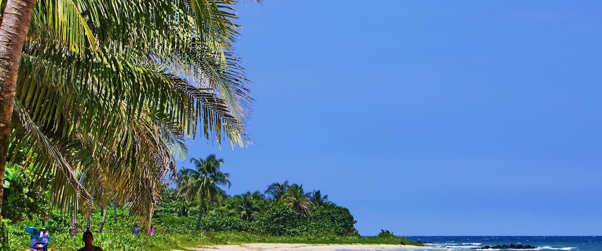 Corn Island montrant scĂšnes tropicales et plage aussi bien que homme