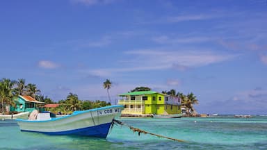 Corn Island which includes boating, tropical scenes and general coastal views