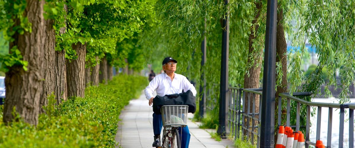 Marunouchi which includes cycling and a park as well as an individual male