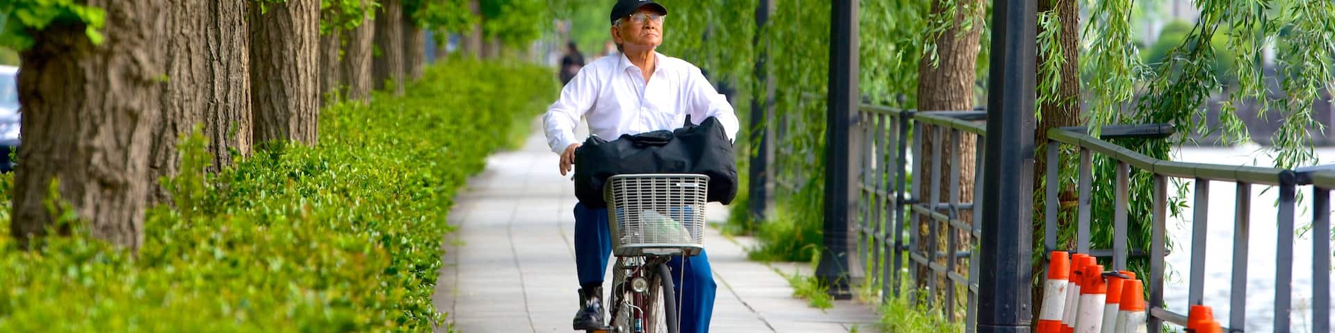 Marunouchi which includes cycling and a park as well as an individual male