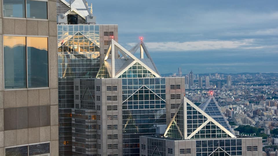 Shinjuku showing city views, modern architecture and a skyscraper