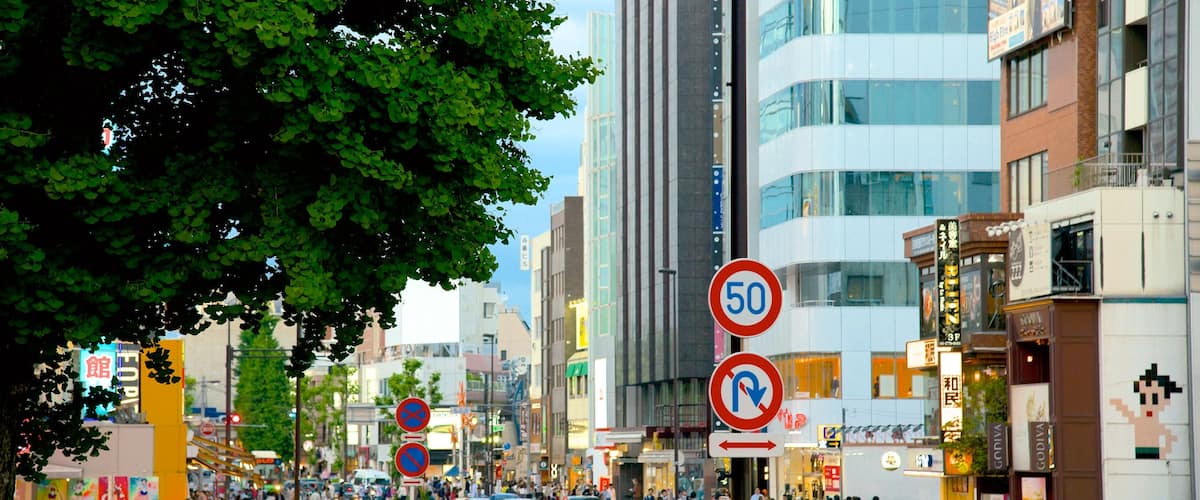 Harajuku which includes skyline, signage and street scenes