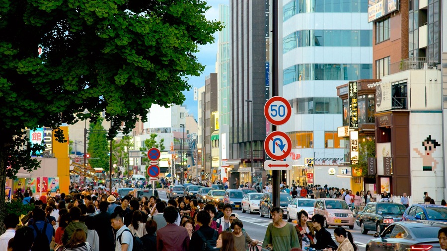 Harajuku featuring street scenes, signage and skyline