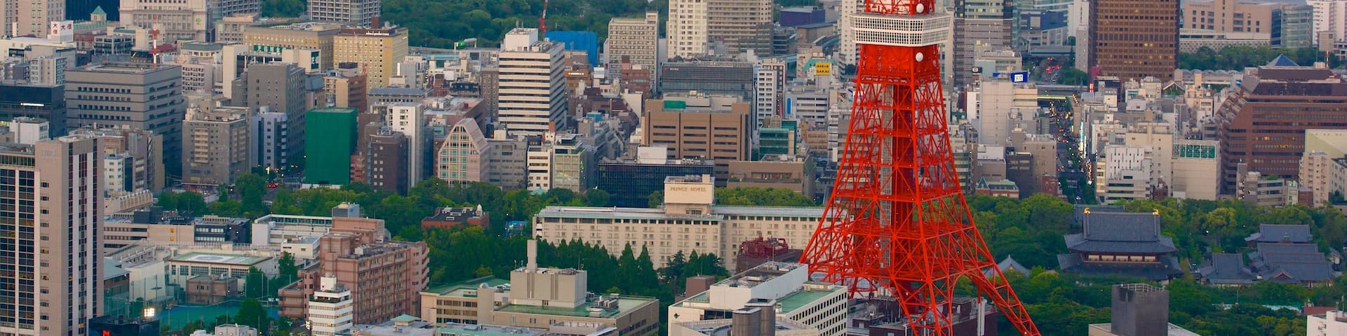 Tokyo Tower which includes a city, city views and a high rise building