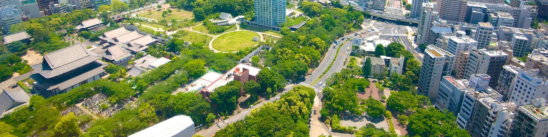 Tokyo Tower which includes central business district, a city and a skyscraper