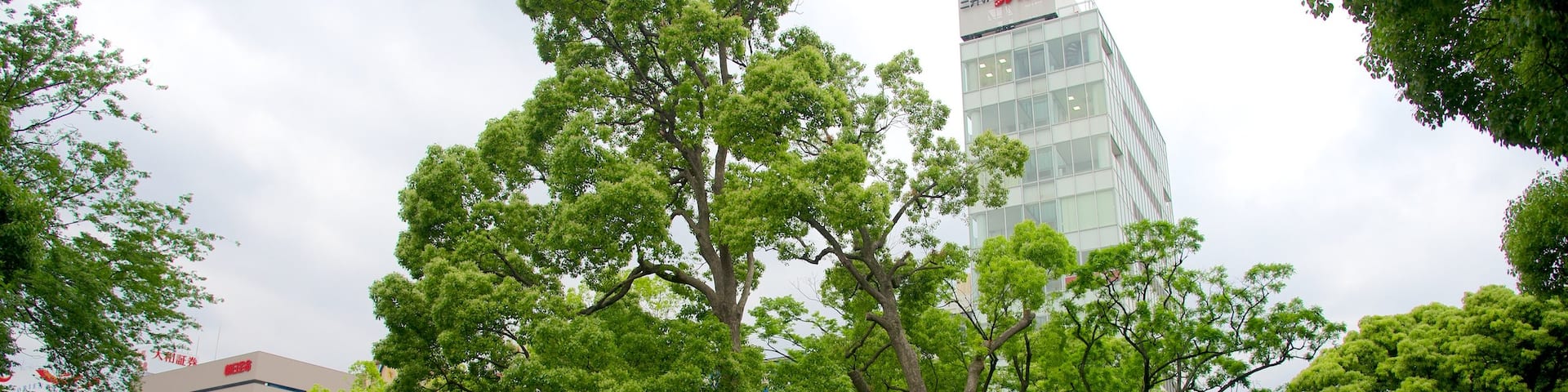 Ueno Park featuring a garden and a city