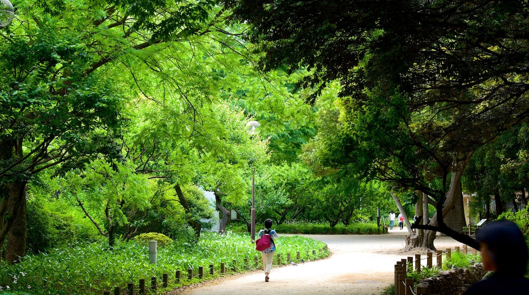 Jardines Nacionales Shinjuku Gyoen ofreciendo un parque y también una mujer
