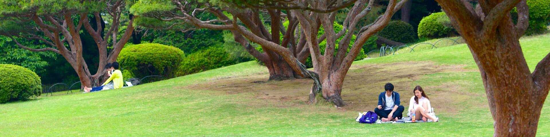 Shinjuku Gyoen National Garden which includes picnicing and a garden as well as a couple