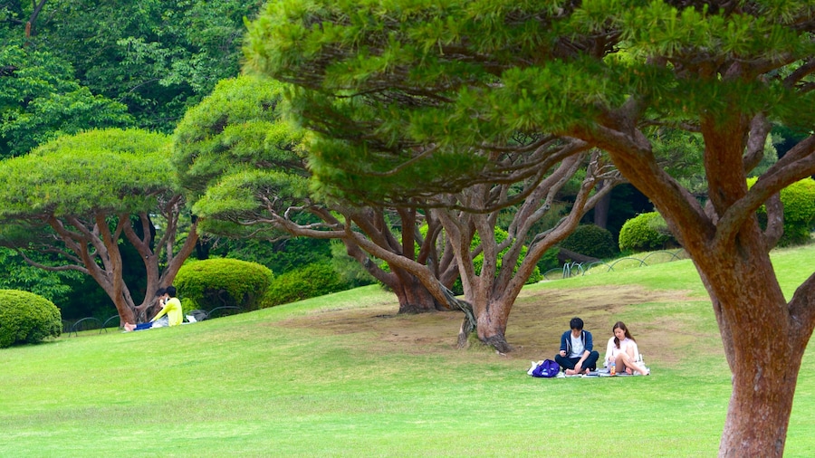 Vườn Quốc gia Shinjuku Gyoen cho thấy dã ngoại và công viên cũng như cặp đôi