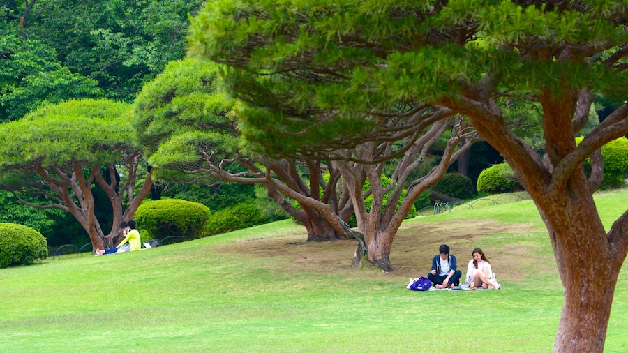 Shinjuku Gyoen National Garden with lush greenery and visitors relaxing on the lawns in Tokyo.