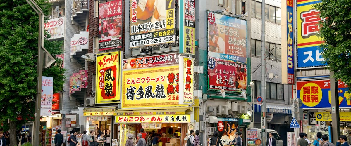 Akihabara Electric Town which includes street scenes, shopping and signage