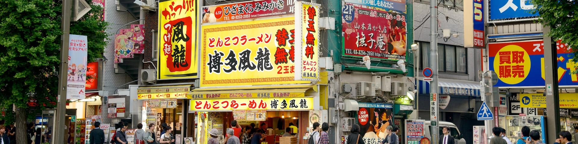 Akihabara Electric Town which includes street scenes, a city and signage