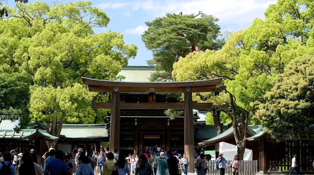 Santuario de Meiji Jingu que incluye una ciudad, patrimonio de arquitectura y escenas urbanas