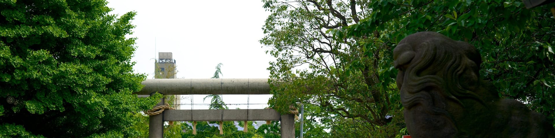 Santuario de Asakusa mostrando un jardín, elementos religiosos y un templo o lugar de culto