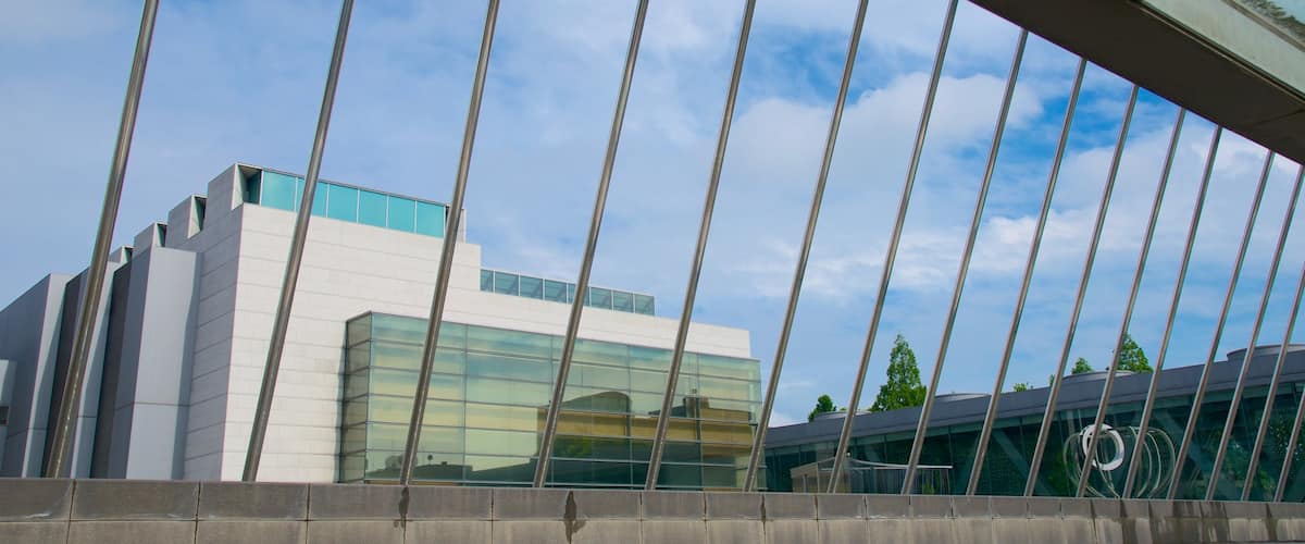Tokyo Museum of Contemporary Art featuring a city and art