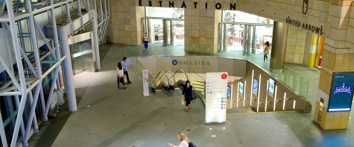 Central Tokyo which includes interior views as well as a couple