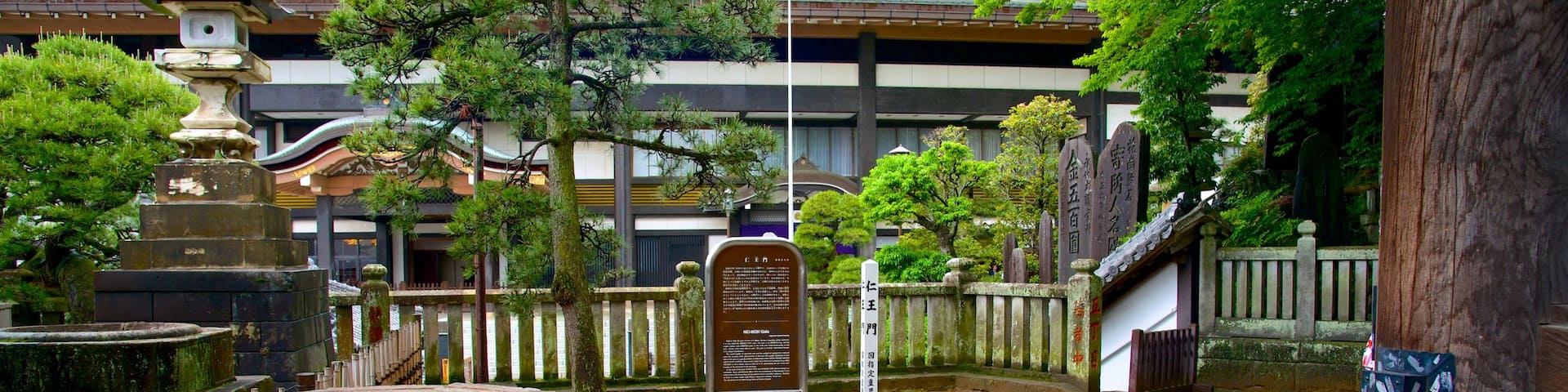 Templo Naritasan Shinshoji ofreciendo un templo o lugar de culto y elementos religiosos