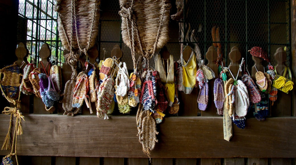 Naritasan Shinshoji Temple which includes interior views, religious elements and a temple or place of worship