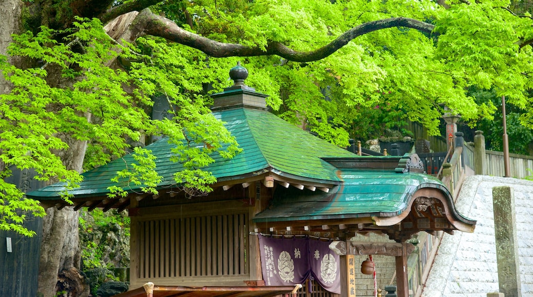 Naritasan Shinshoji-tempel bevat een tempel of gebedshuis en religieuze elementen