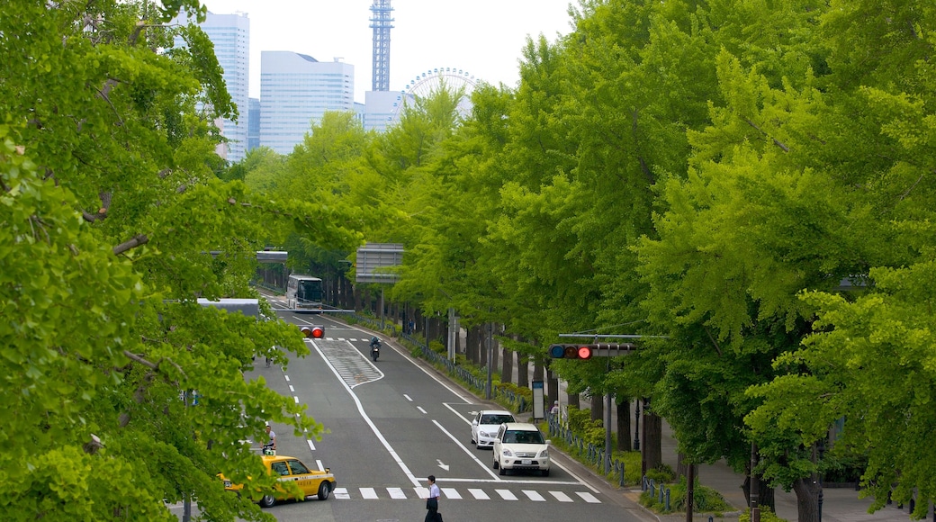 山下公園 呈现出 街道景色 和 城市