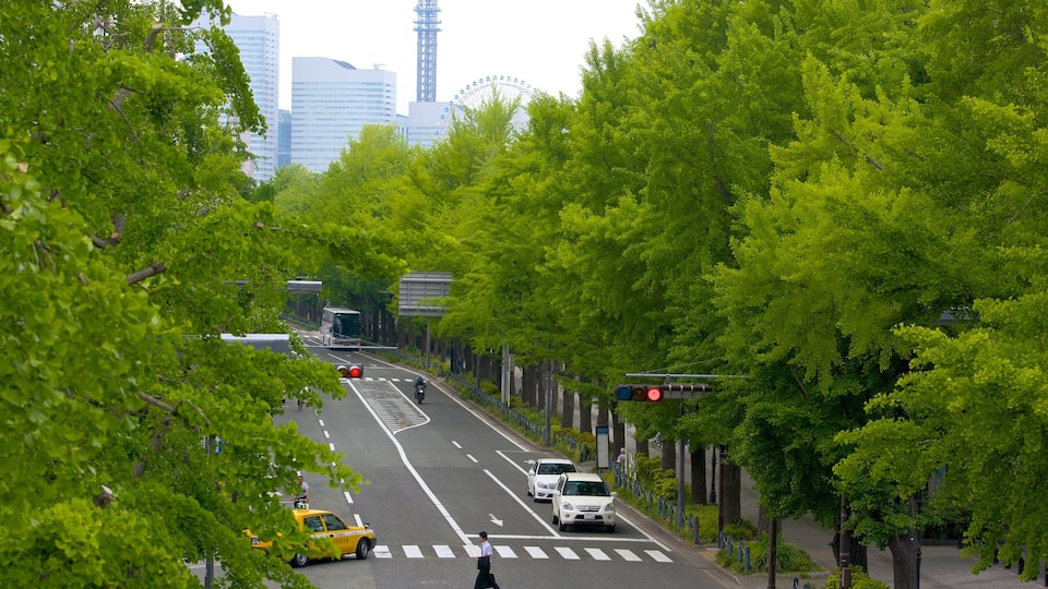 Yamashita Park showing street scenes and a city