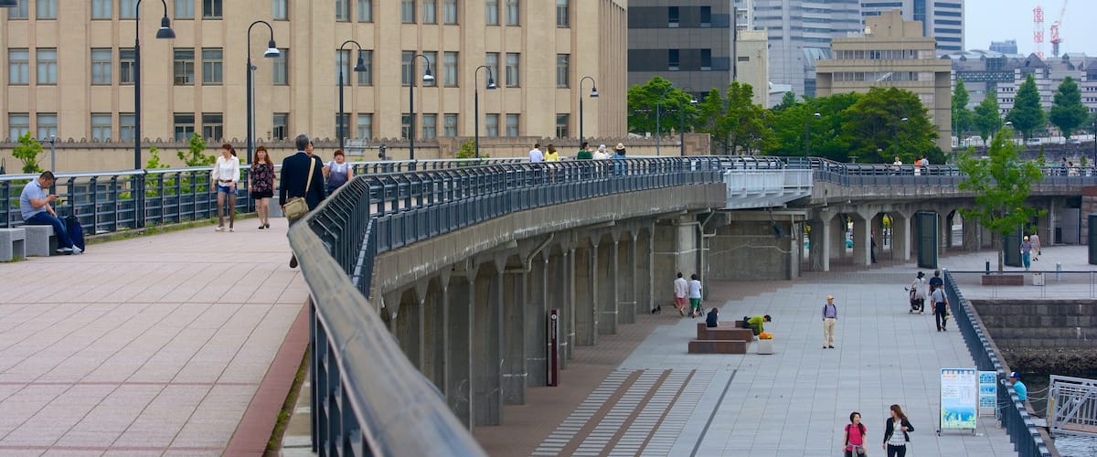 Yamashita Park featuring a bridge, a city and street scenes