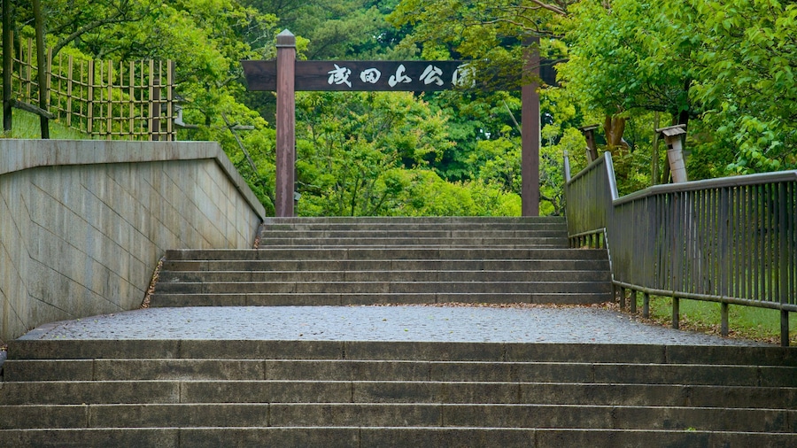 St Maarten and St Martin showing a park and signage