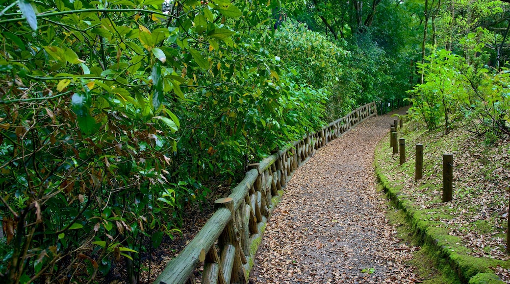 Naritasan Park featuring a park