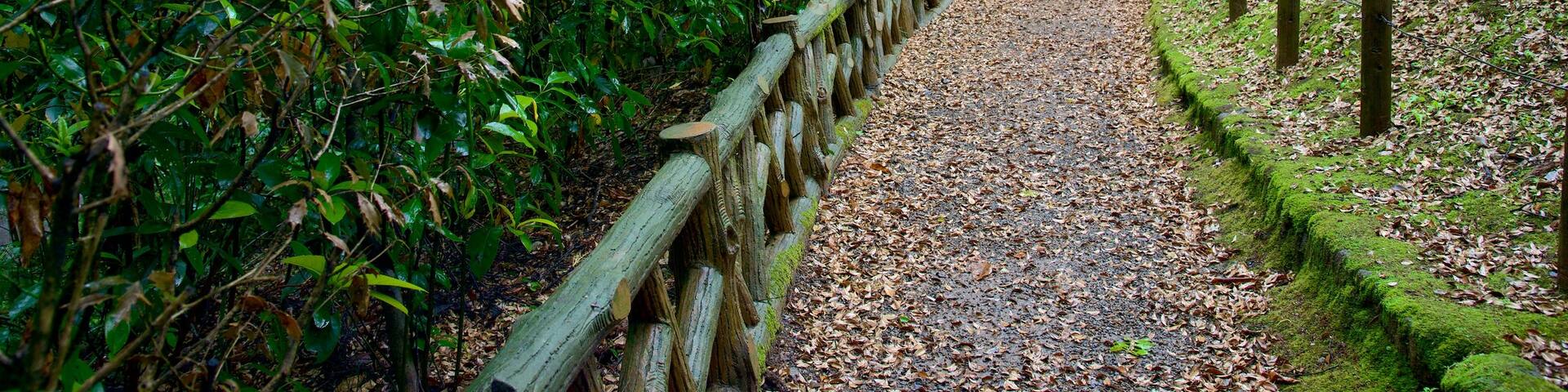 Naritasan Park featuring a park