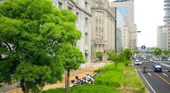 Kobe showing a city and street scenes