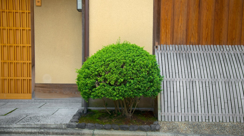 Gion que incluye una ciudad