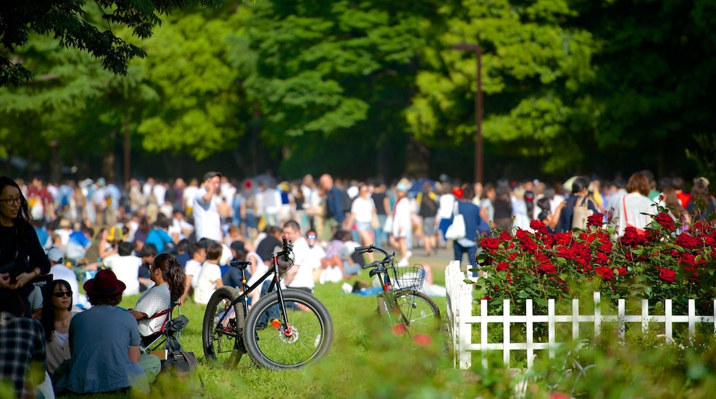 Yoyogi Park showing flowers, cycling and a park