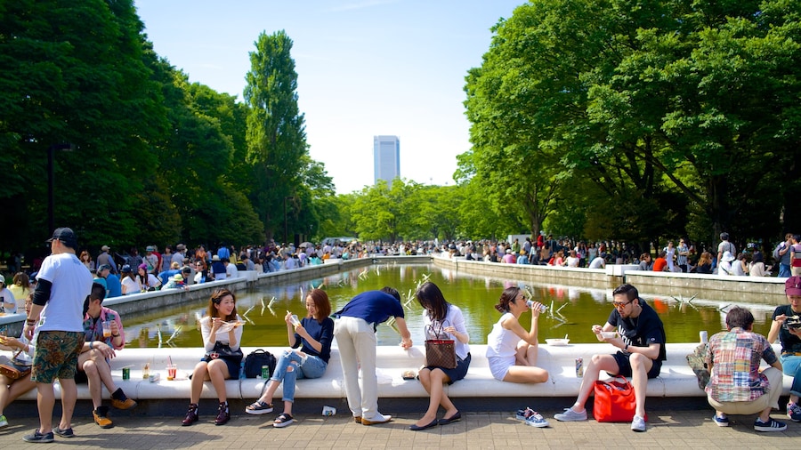 Công viên Yoyogi có tính năng thành phố, bể bơi và hồ