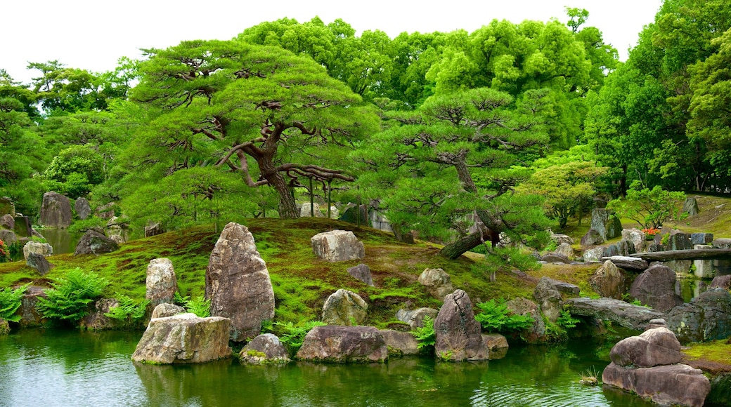 Nijo Castle featuring a garden and a pond