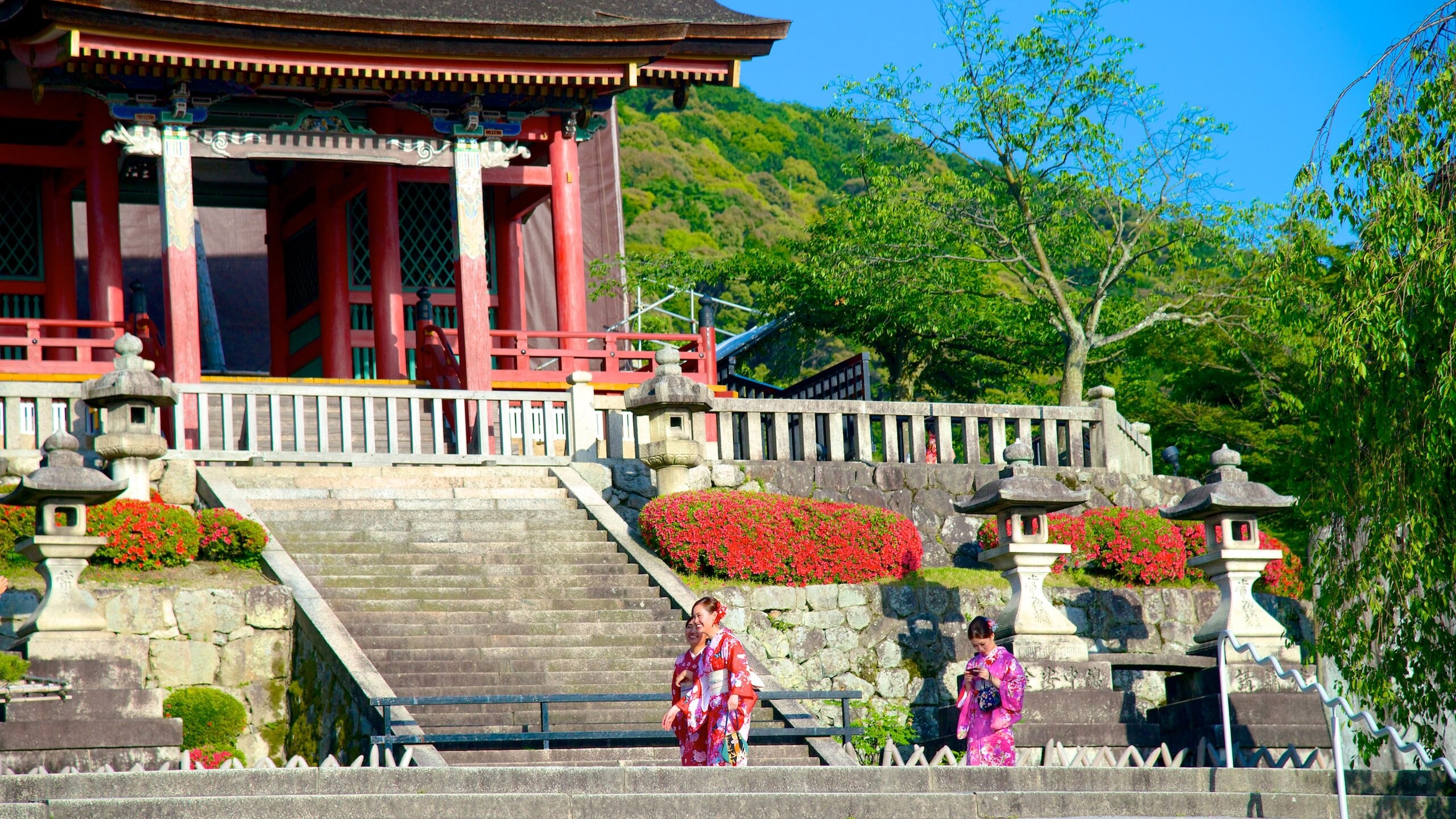 Kiyomizu Temple Tours - Book Now | Expedia