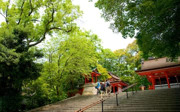 京都府南部観光ガイド 定番人気スポットを参考に自分にピッタリの観光プランを立てよう エクスペディア 京都府南部観光ガイド 定番人気スポットを参考に自分にピッタリの観光プランを立てよう エクスペディア