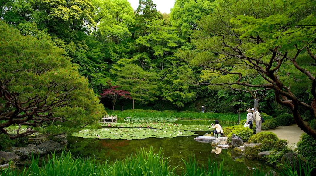 Heian Shrine featuring a pond and a park