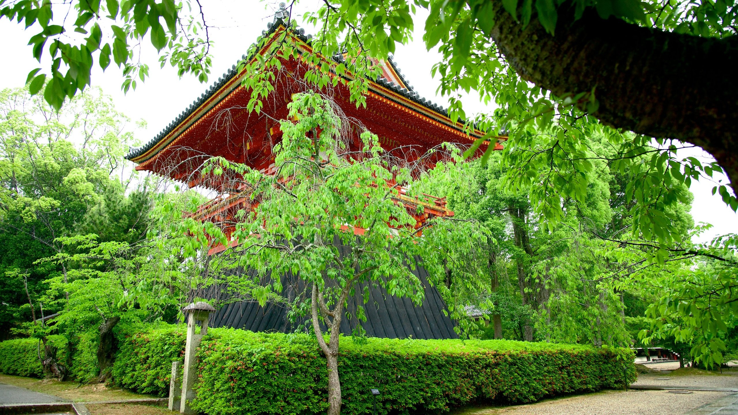 Ninnaji Temple featuring a garden, religious aspects and a temple or place of worship