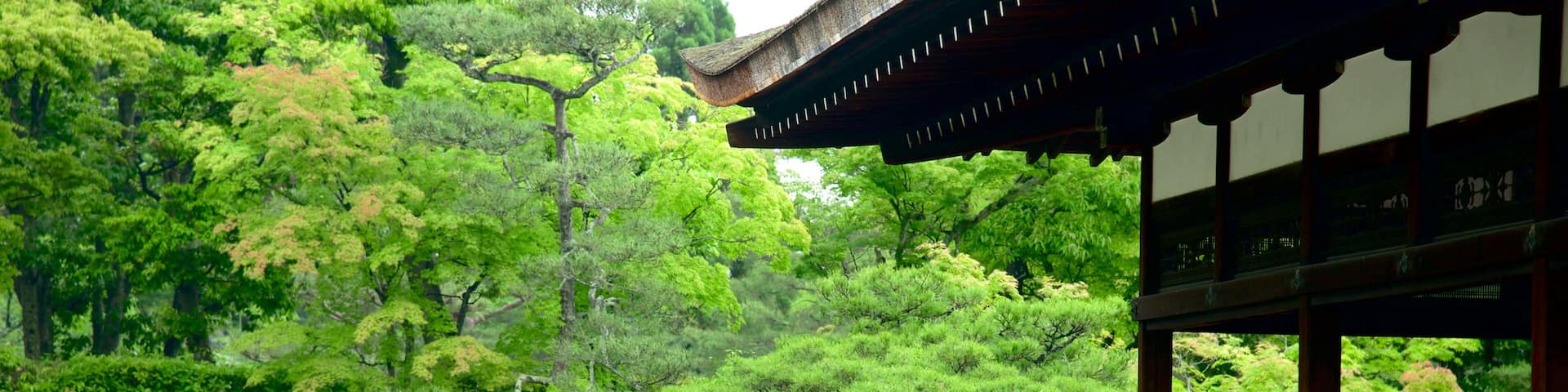 Ninnaji Temple showing landscape views, a temple or place of worship and views