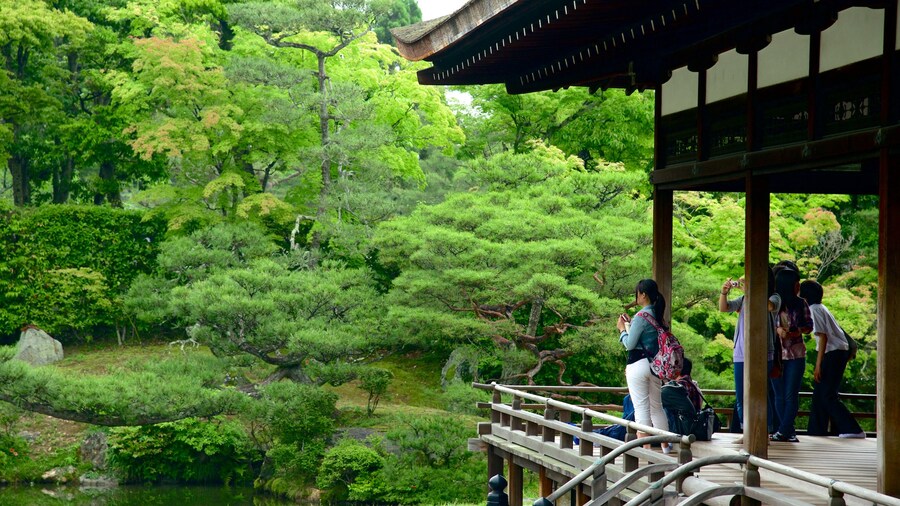 Ninnaji Temple showing views, religious elements and landscape views