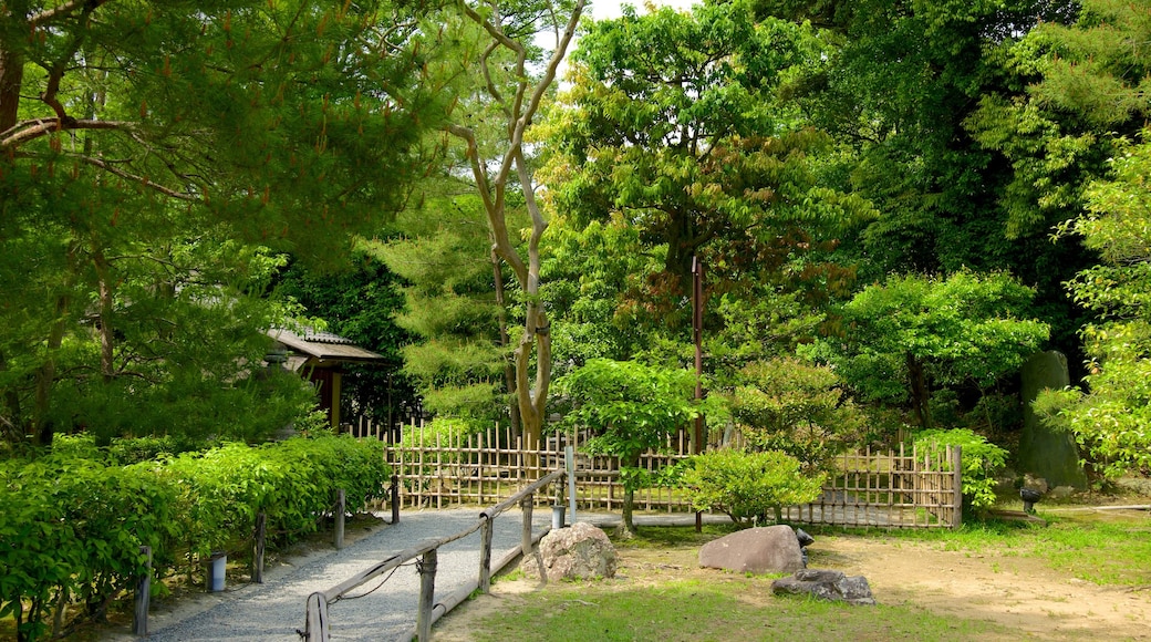 Kodaiji Temple showing forest scenes and a garden