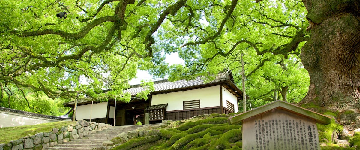 青蓮院 表示 寺院あるいは礼拝所 と 標識