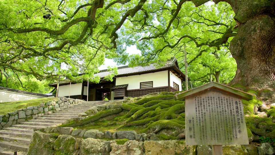Tempio di Shoren-in mostrando segnaletica e tempio o luogo di culto