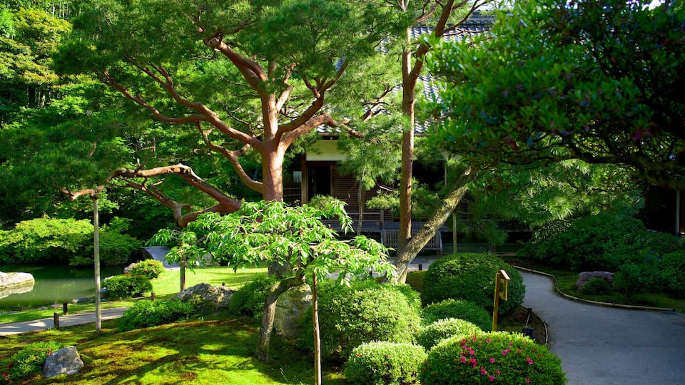 Shoren-in Temple showing a park, religious elements and a temple or place of worship
