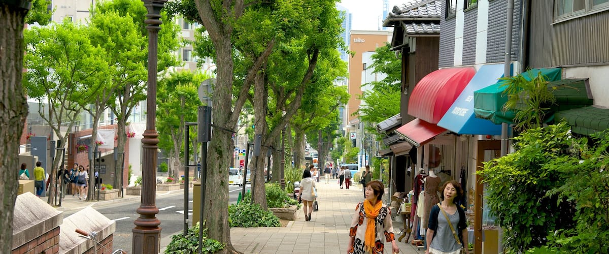 Kitano featuring a city, shopping and street scenes
