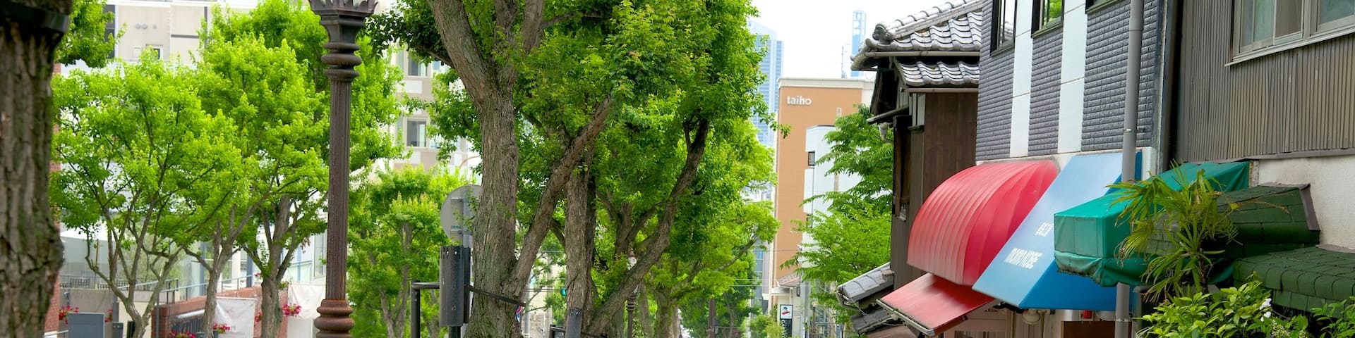 Kitano featuring a city, shopping and street scenes